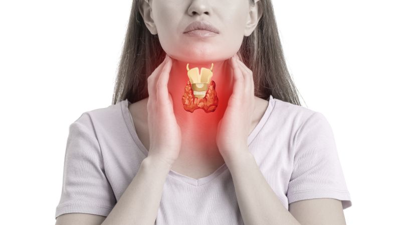 thyroid function